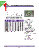 PCSFW630-R68M Datasheet HTML 1Page - Allied Components International 
