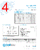 5TT600-R Datasheet HTML 4Page - Bel Fuse Inc. 