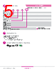 DR10D12 Datasheet HTML 5Page - Sensata Technologies, Inc. 