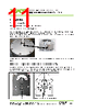 77775-R1 Datasheet HTML 11Page - VAT Group AG 