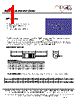 MF1303T-R33 Datasheet HTML 1Page - ECM Electronics Limited. 