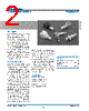31-5136-RFX Datasheet HTML 2Page - Amphenol Corporation 