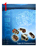 082-5380-RFX Datasheet HTML 1Page - Amphenol Corporation 