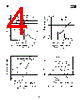 IRFPF30 Datasheet HTML 4Page - IRF 