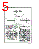 54ACT715-R Datasheet HTML 5Page - National Semiconductor (TI) 