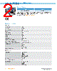 IRS100-R53MF13 Datasheet HTML 2Page - SICK AG 
