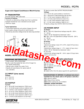 M2PA-53-R2/N Datasheet PDF - M-System Co.,Ltd.